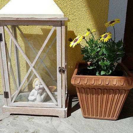 Appartement Koenigslehen Radstadt Dış mekan fotoğraf